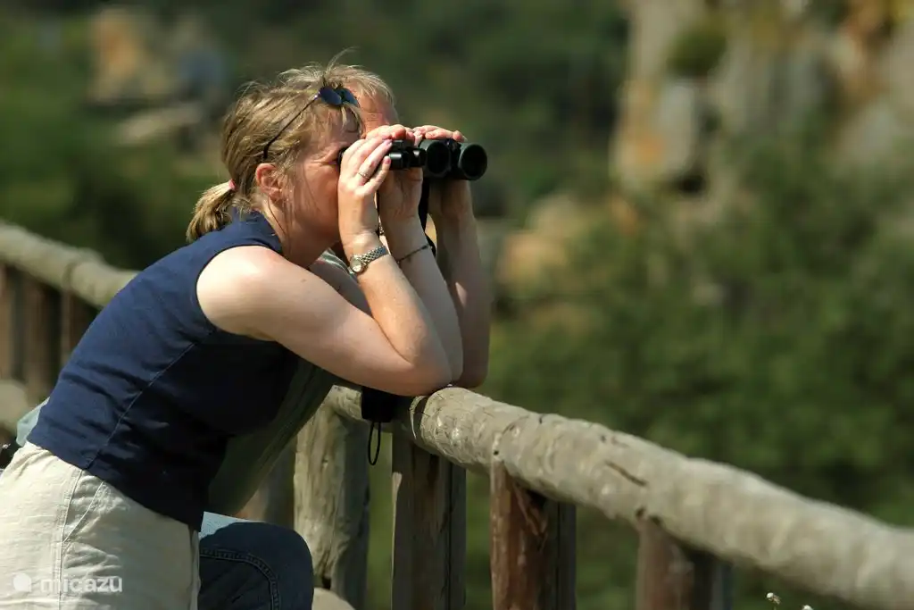 Het hele jaar door vogels kijken