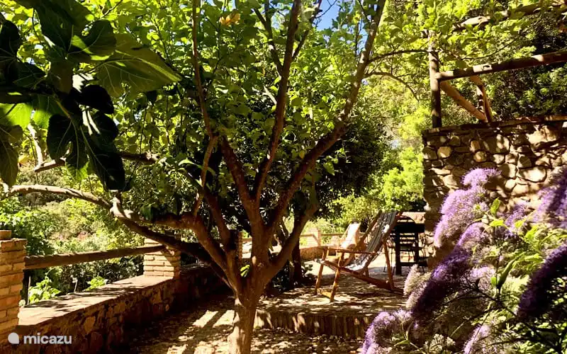 CASA ZOYA
