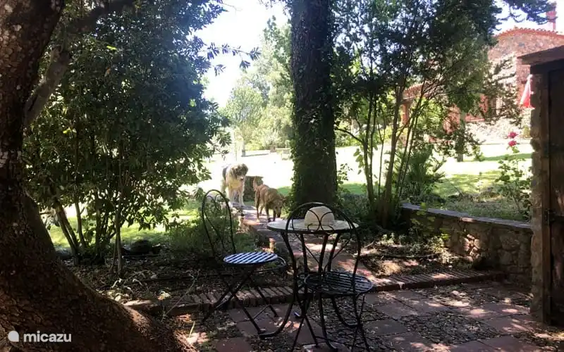 CASA ZOYA