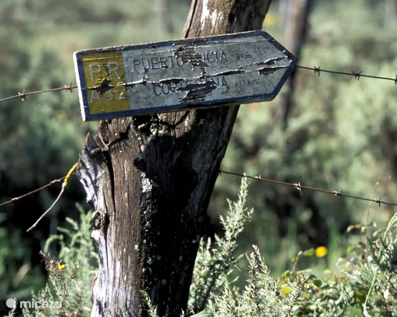 Veel rondwandelingen die vertrekken vanuit onze huizen