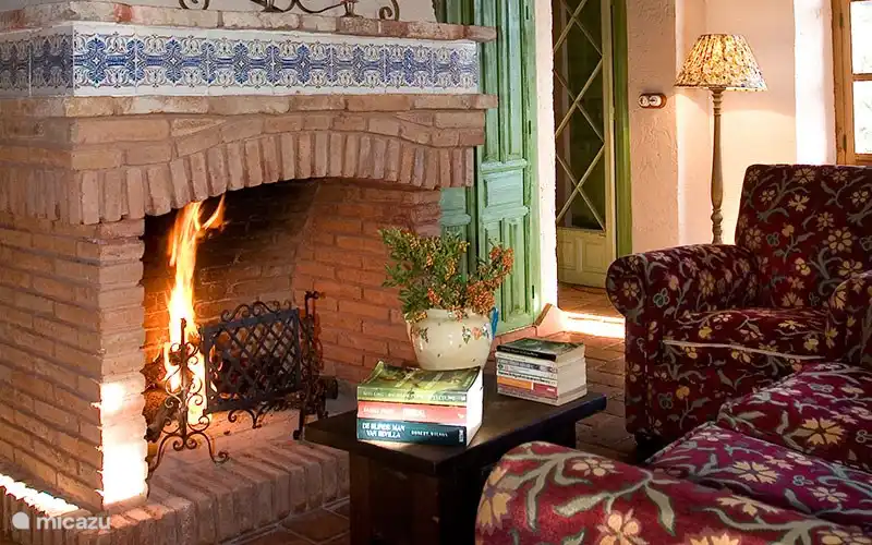 Open Haard met hout inbegrepen