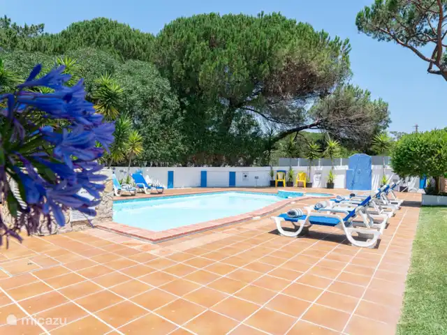 Villa Hecuba en Portugal, Costa de Lisboa, Colares - villa Piscina con tumbonas