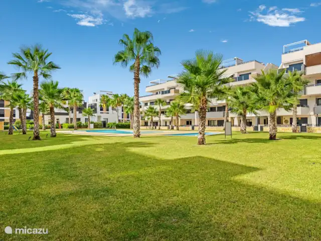 Caza azul en España, Costa Blanca, Orihuela Costa - apartamento Jardín
