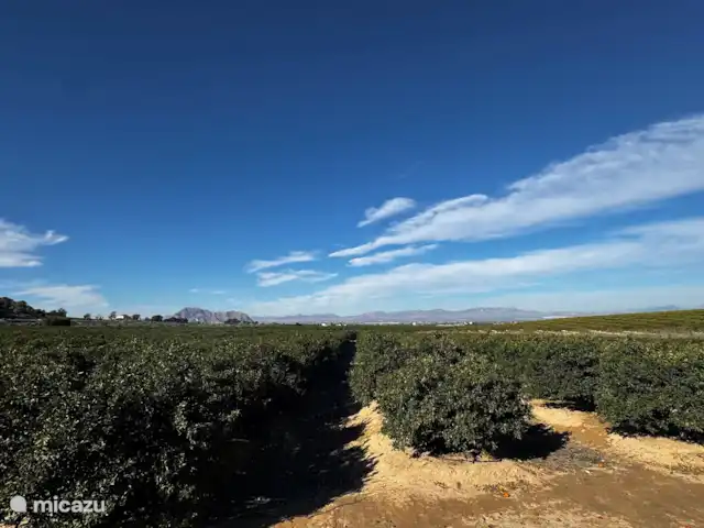 Casa Campo Herrero en España, Costa Blanca, Algorfa - casa vacacional Medio ambiente