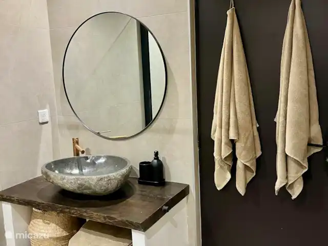 Mas Lion | France, Gard, La Roque-sur-Cèze - maison de vacances Salle de bain avec grande douche