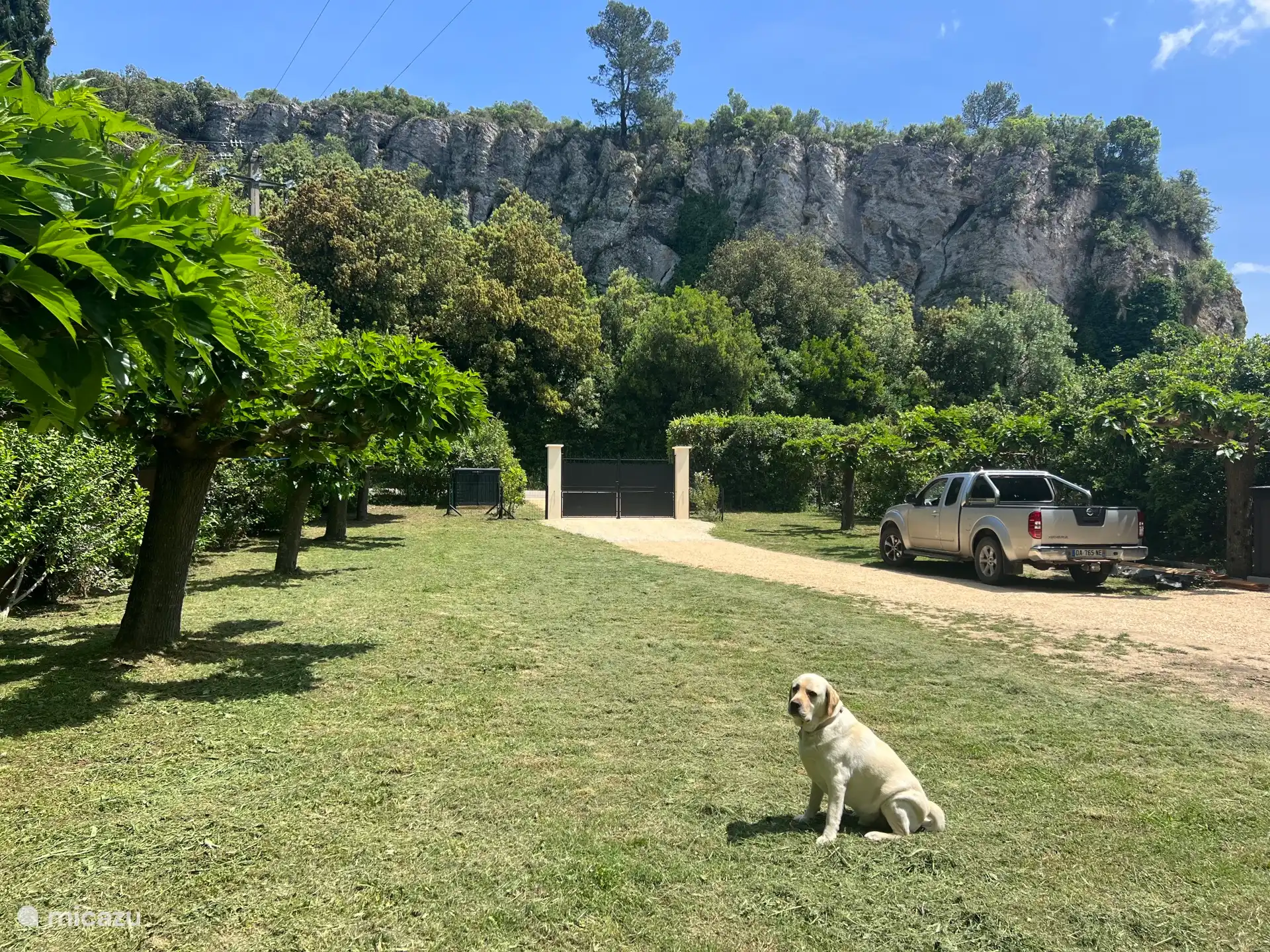 Rasen à 2000m2 neben Mas Lion und Ihr Hund sind willkommen!