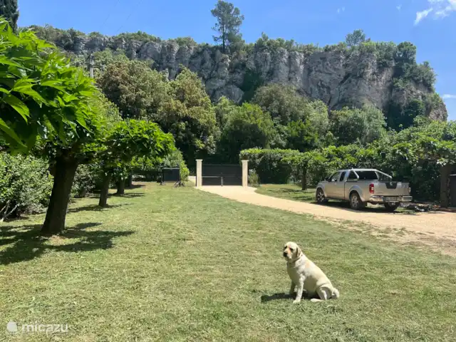 Mas Lion | France, Gard, La Roque-sur-Cèze - maison de vacances Pelouse à 2000m2 à côté du Mas Lion et votre chien sont les bienvenus !