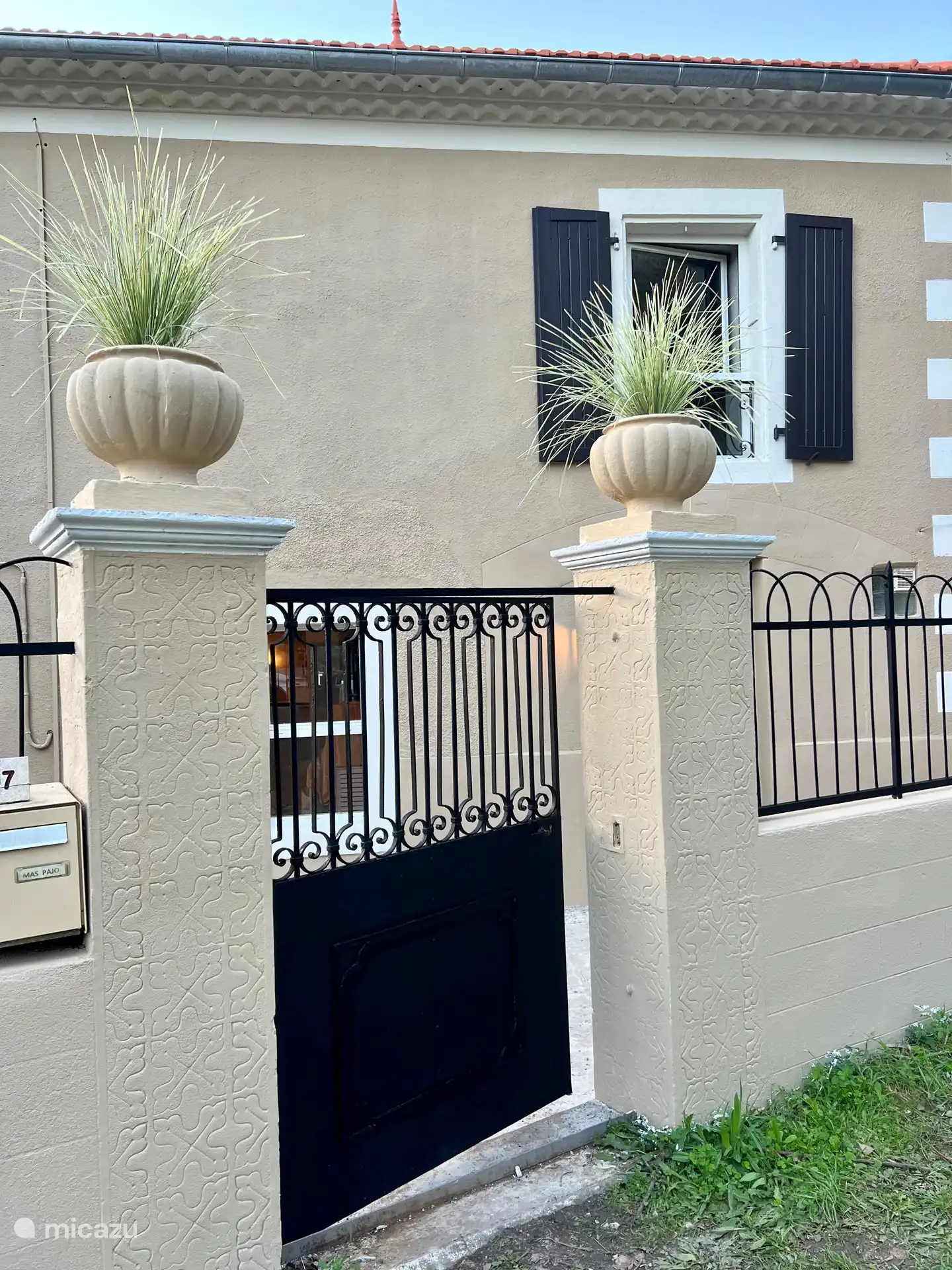 Vorderseite Mas Lion