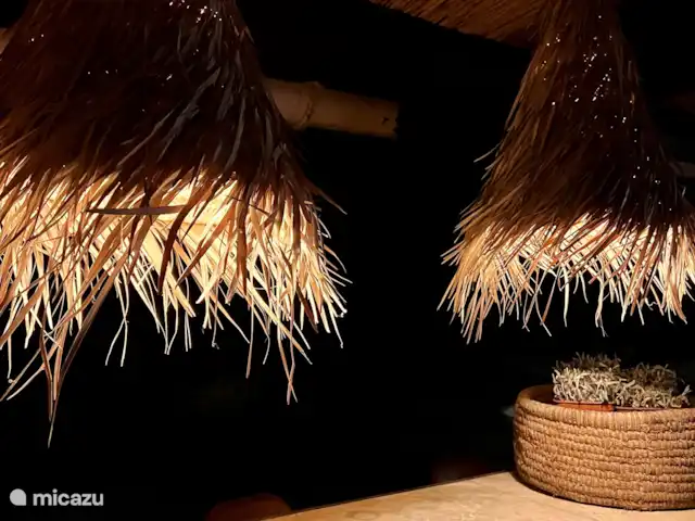 Mas Lion | France, Gard, La Roque-sur-Cèze - maison de vacances Suspensions de bar d’extérieur