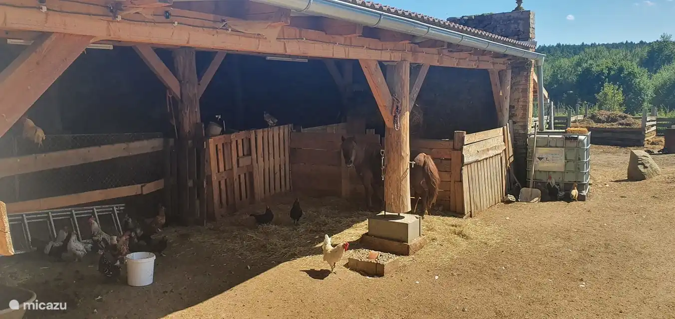 Partie de l’enclos des animaux