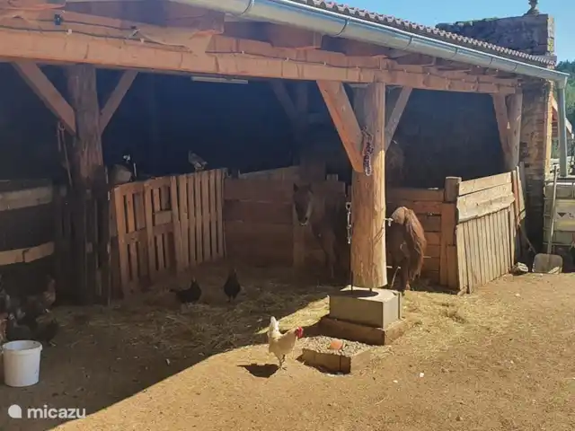 Zichovec`Bohemia huren in Tsjechië, Zuid-Bohemen, Strunkovice nad Blanicí - appartement Deel van het dierenverblijf