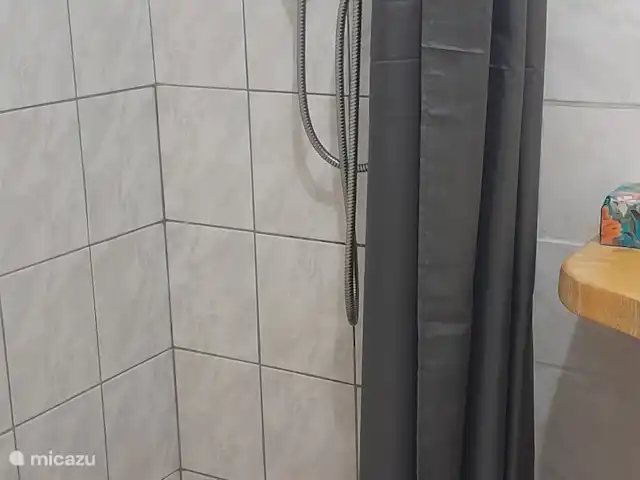 Zichovec`Bohemia huren in Tsjechië, Zuid-Bohemen, Strunkovice nad Blanicí - appartement De douche