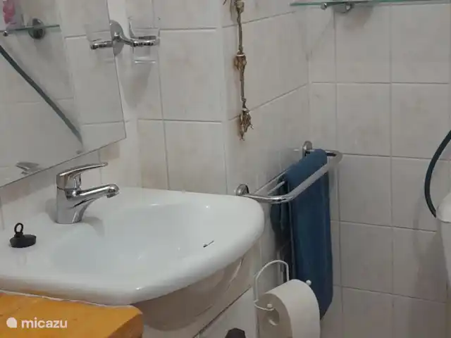Zichovec`Bohemia huren in Tsjechië, Zuid-Bohemen, Strunkovice nad Blanicí - appartement Toilet en wastafel