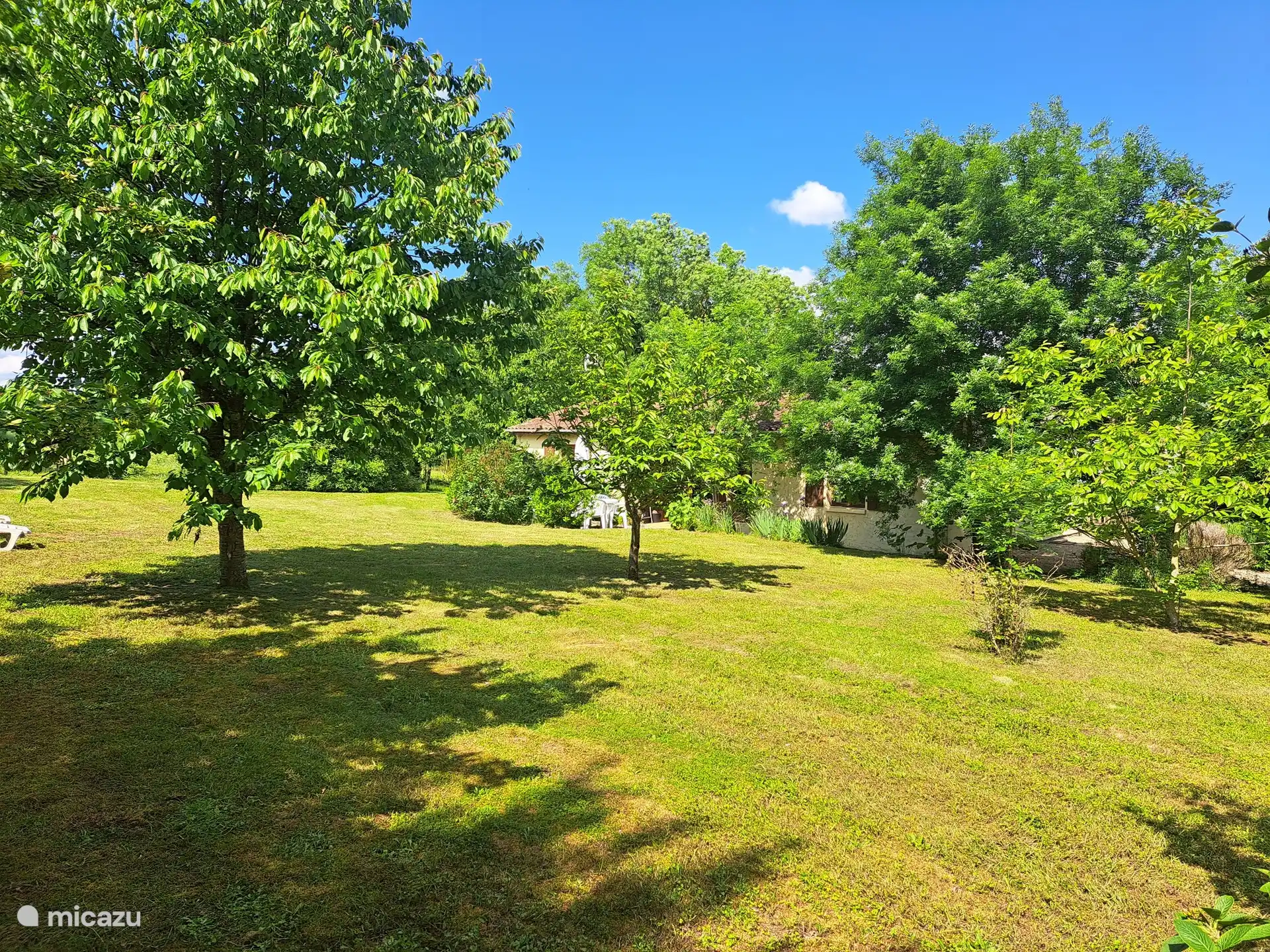 Großer privater Garten