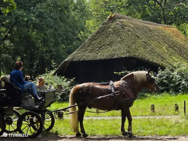 bungaló en Países Bajos, Güeldres, Putten – El lugar de Veluwe Putterbos
