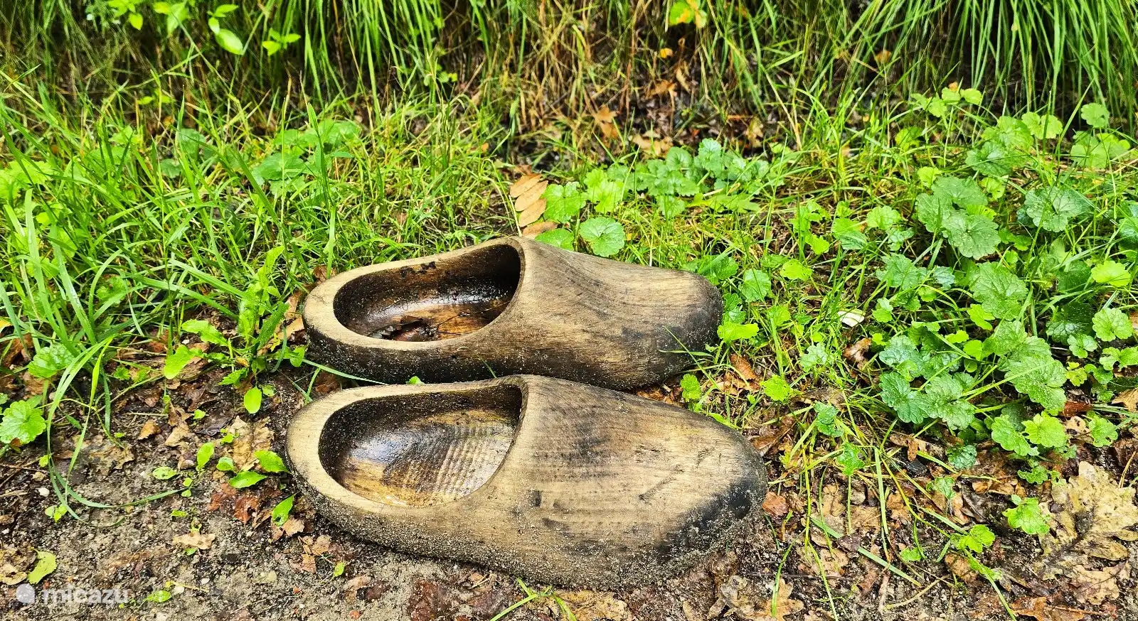 Klompenpad Oldenaller Start Putten