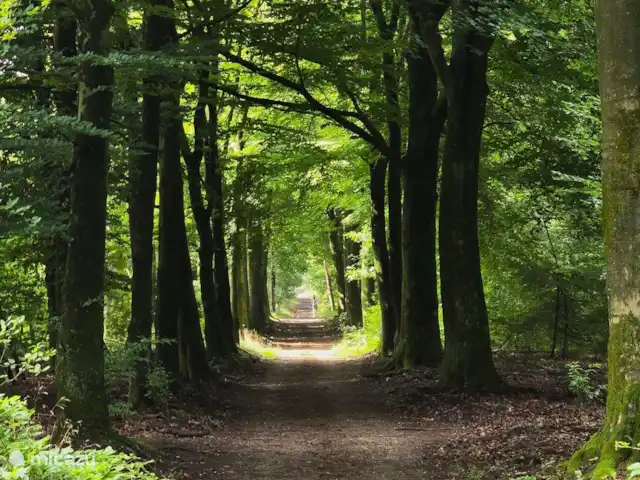 bungaló en Países Bajos, Güeldres, Putten – El lugar de Veluwe Putterbos