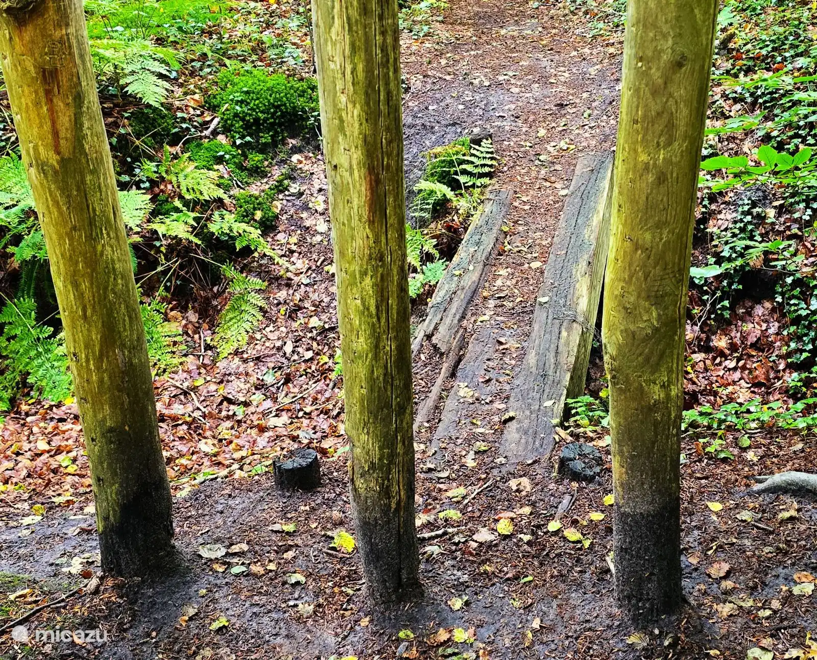 Klompenpad, Oldenaller Start Putten