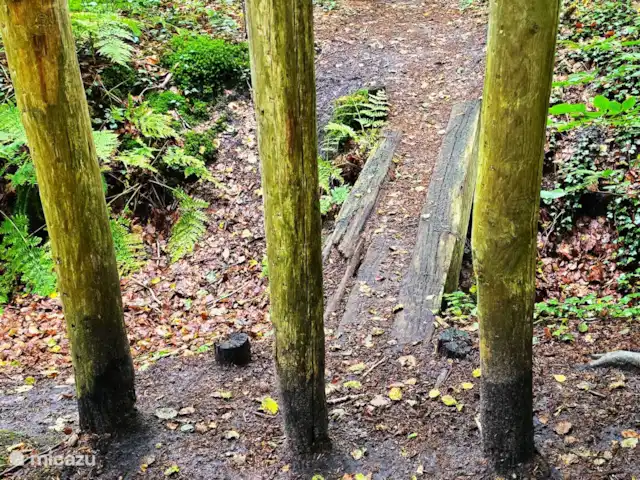 bungaló en Países Bajos, Güeldres, Putten – El lugar de Veluwe Klompenpad, Oldenaller Start Putten