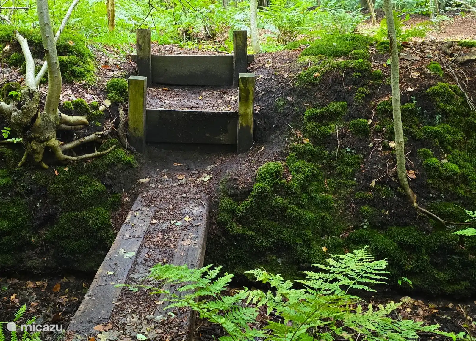 clog path Oldenaller