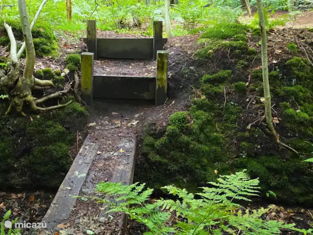bungaló en Países Bajos, Güeldres, Putten – El lugar de Veluwe obstrucción de la ruta Oldenaller