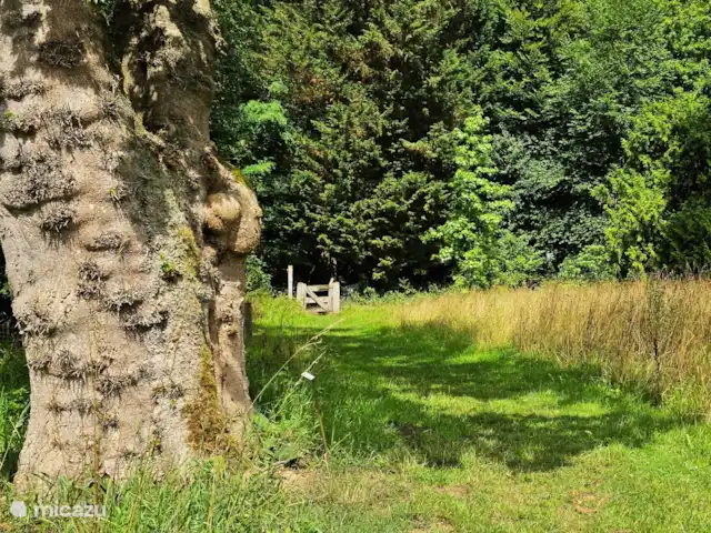 bungaló en Países Bajos, Güeldres, Putten – El lugar de Veluwe Putterbos