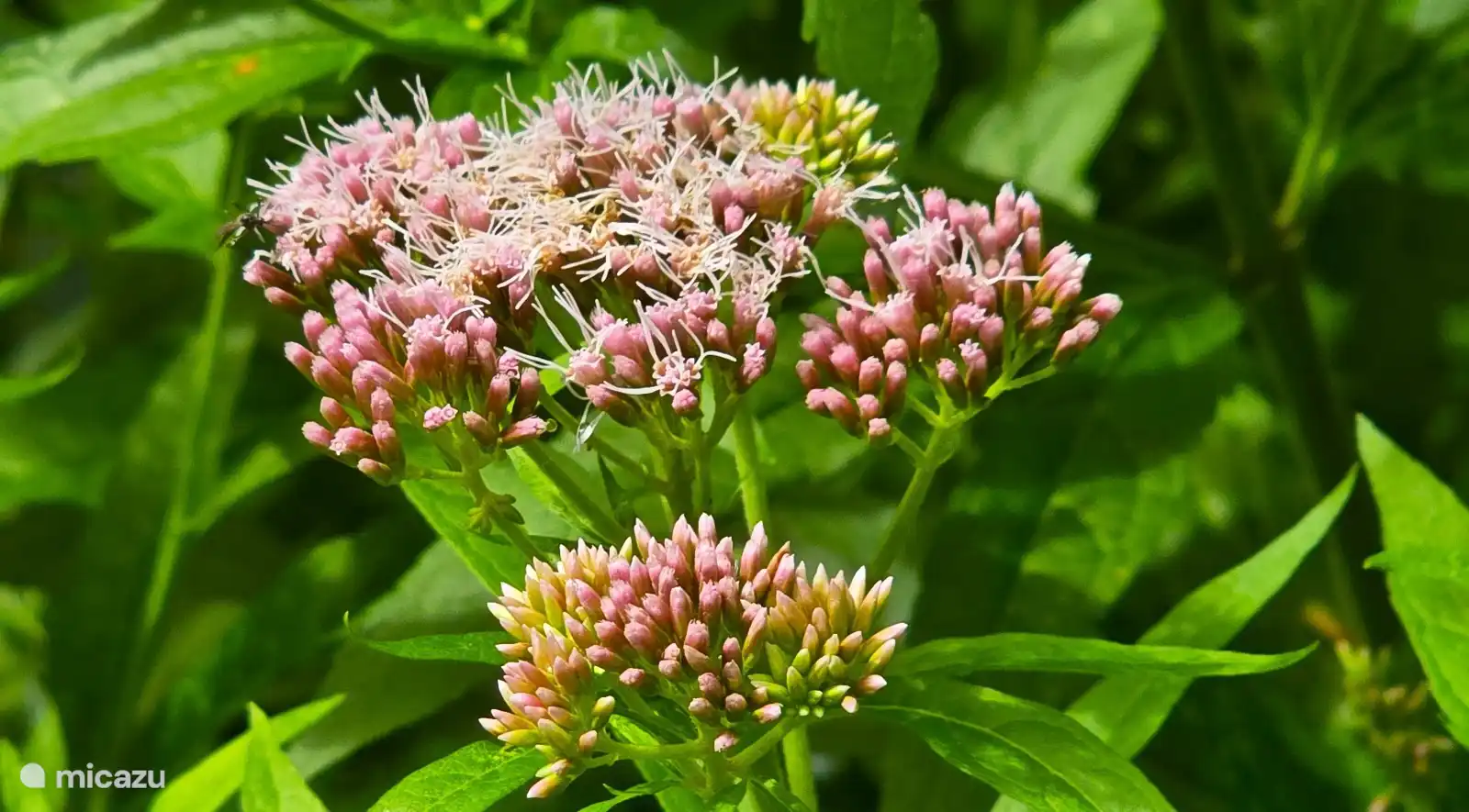 Most beautiful routes.nl