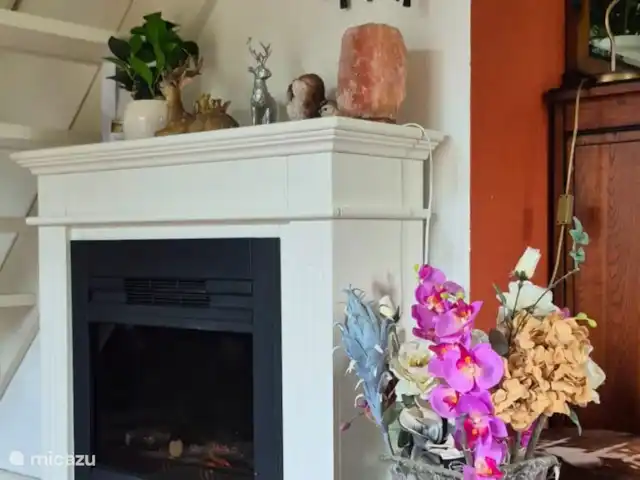 bungaló en Países Bajos, Güeldres, Putten – El lugar de Veluwe Una chimenea eléctrica para el mejor ambiente para las noches.