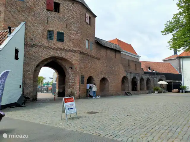 bungaló en Países Bajos, Güeldres, Putten – El lugar de Veluwe Hardewijk es un lugar agradable para descubrir con muchas posibilidades