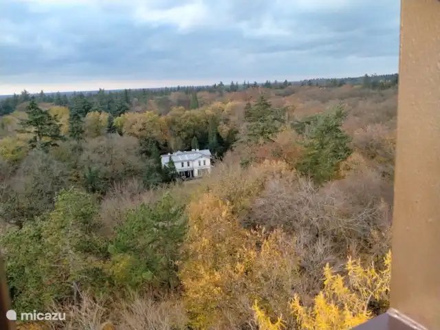 bungaló en Países Bajos, Güeldres, Putten – El lugar de Veluwe vista torre de escalada Putten