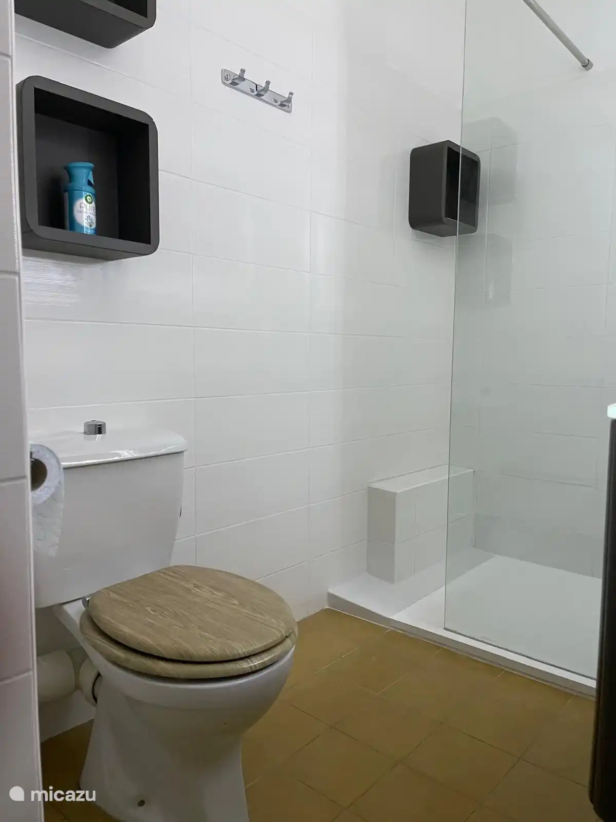 De badkamer met luxe rainshower douche. Hier is ook de wc.
