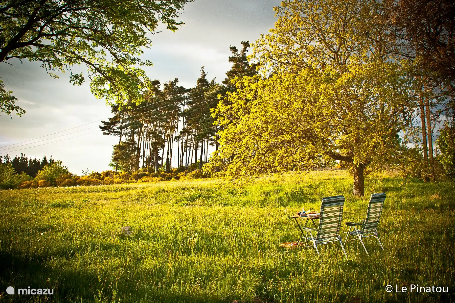 Relax in the garden.