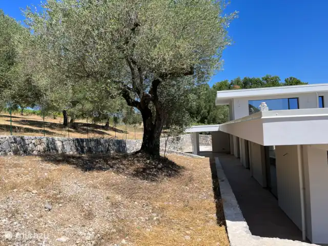 Location de Vacances Italie, Campanie, San Giovanni a Piro, villa - Casa della Montagna