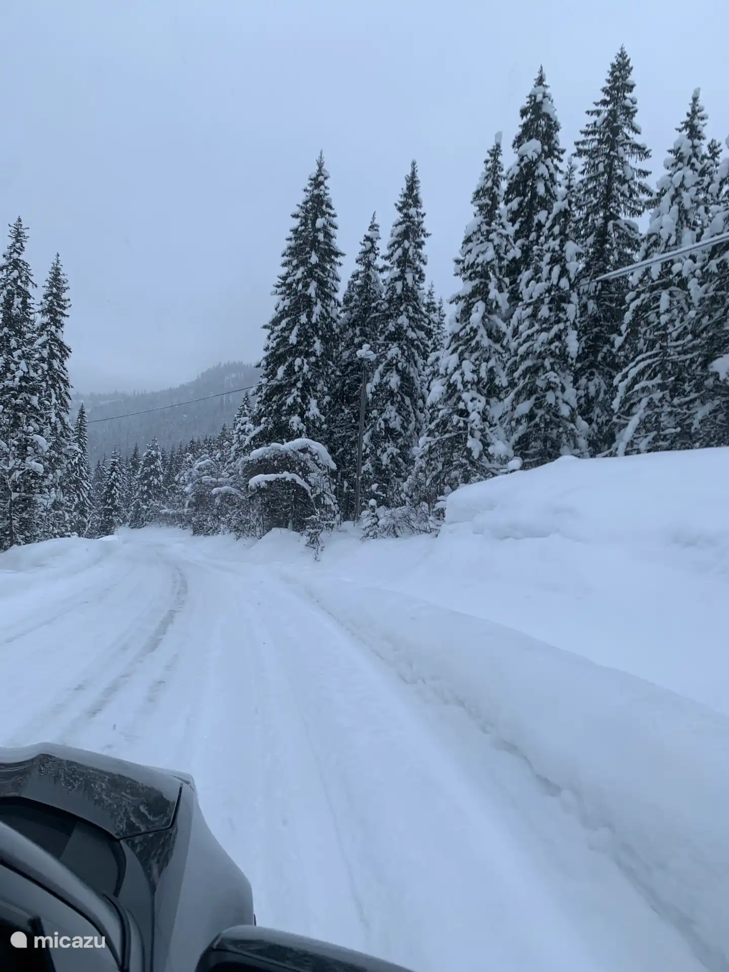 Pays des merveilles hivernal