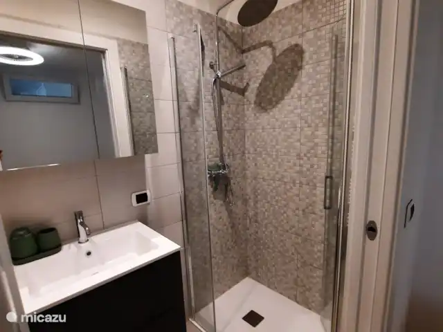 Porto Letizia Apartamento P5 en Italia, Lagos italianos, Porlezza - apartamento Cuarto de baño en el dormitorio 2, con amplia ducha, lavabo e inodoro