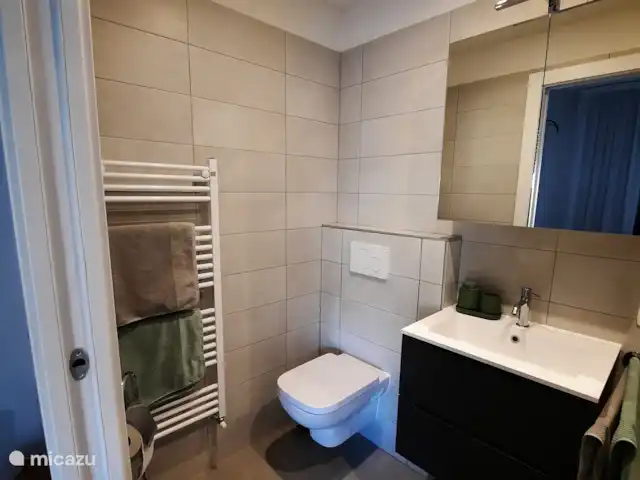 Porto Letizia Apartamento P5 en Italia, Lagos italianos, Porlezza - apartamento Cuarto de baño en el dormitorio 1, con lavabo, inodoro y amplia ducha