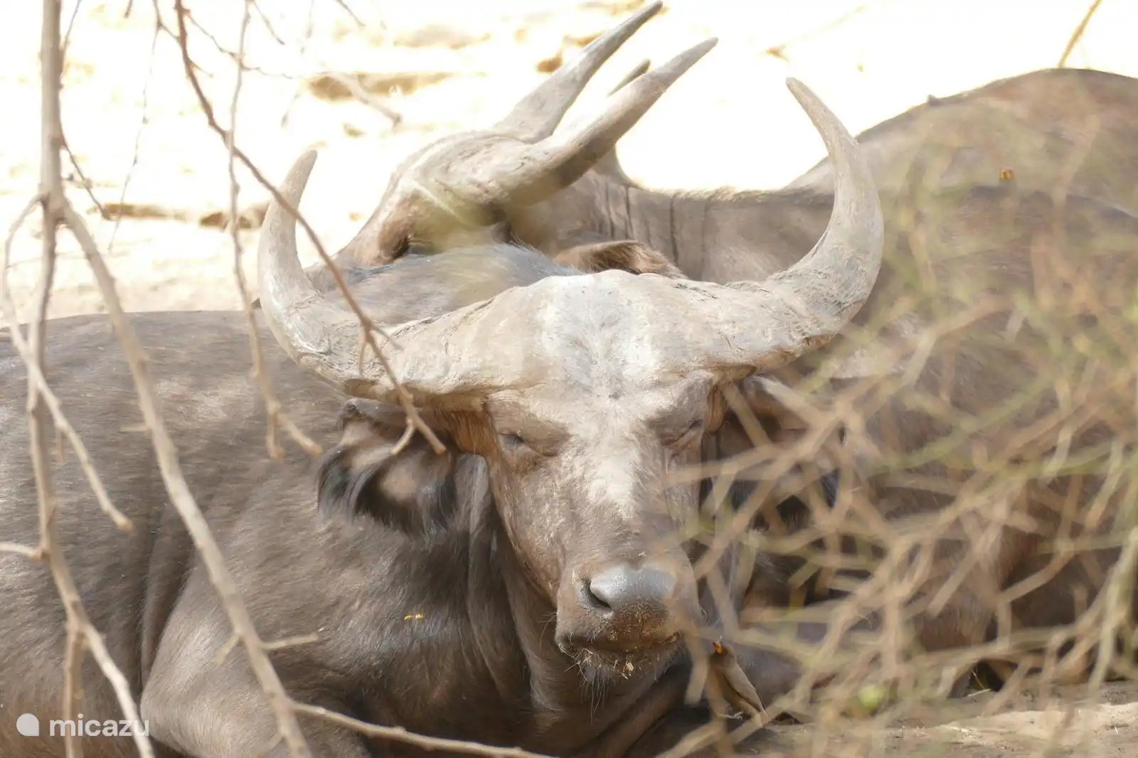 Reserve de Bandia Senegal