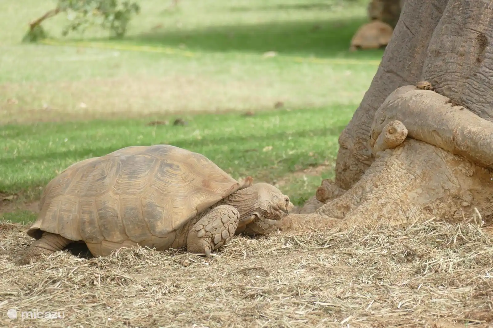 Reserve de Bandia Senegal