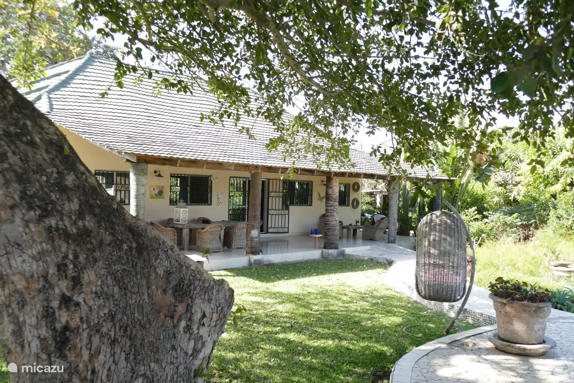 Haus mit Frontansicht unter einem schönen Baum, der viel Schatten bietet, um auf einem Strandbett mit Buch am Pool zu genießen