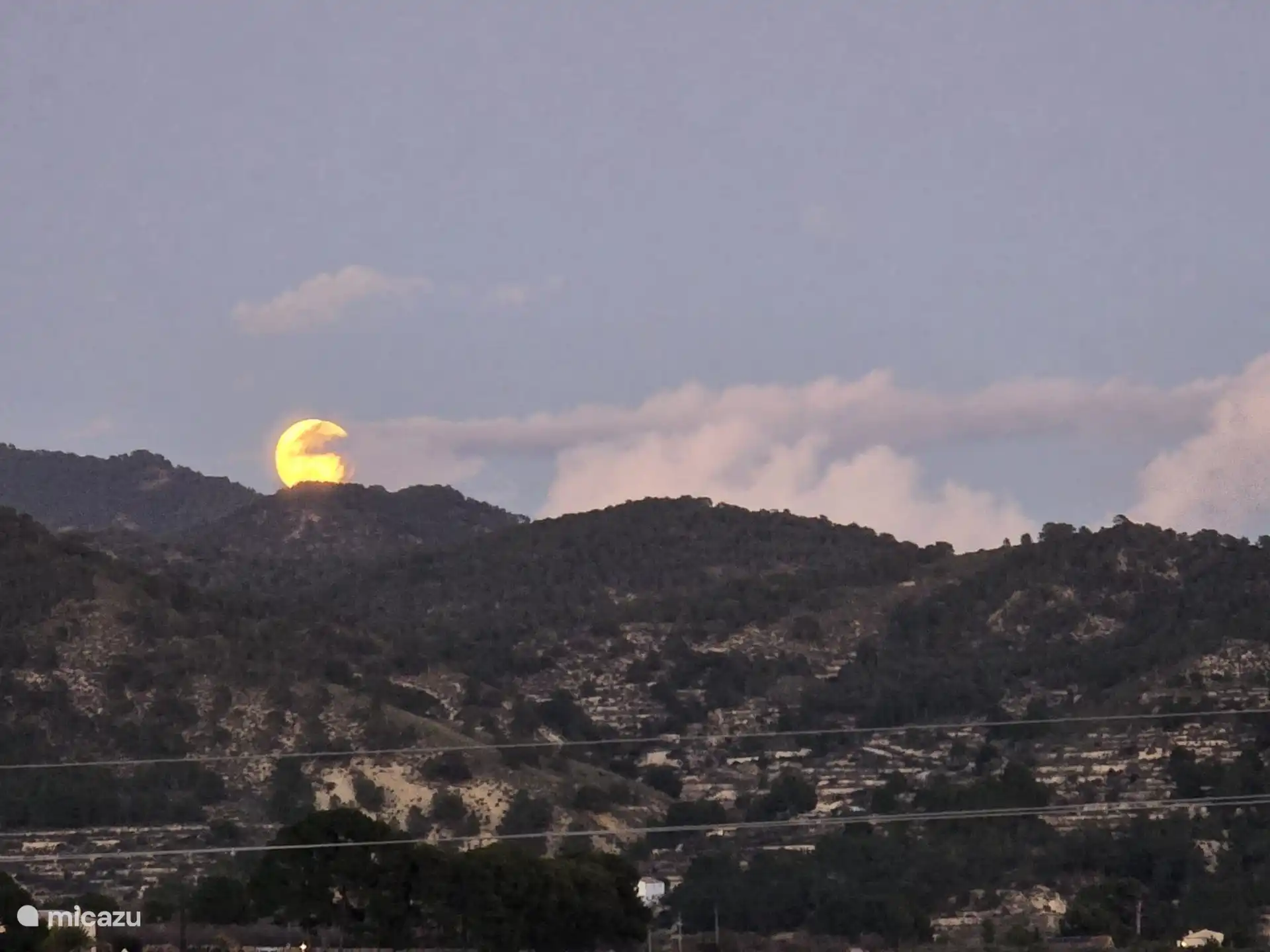 Blick in den Vorgarten 