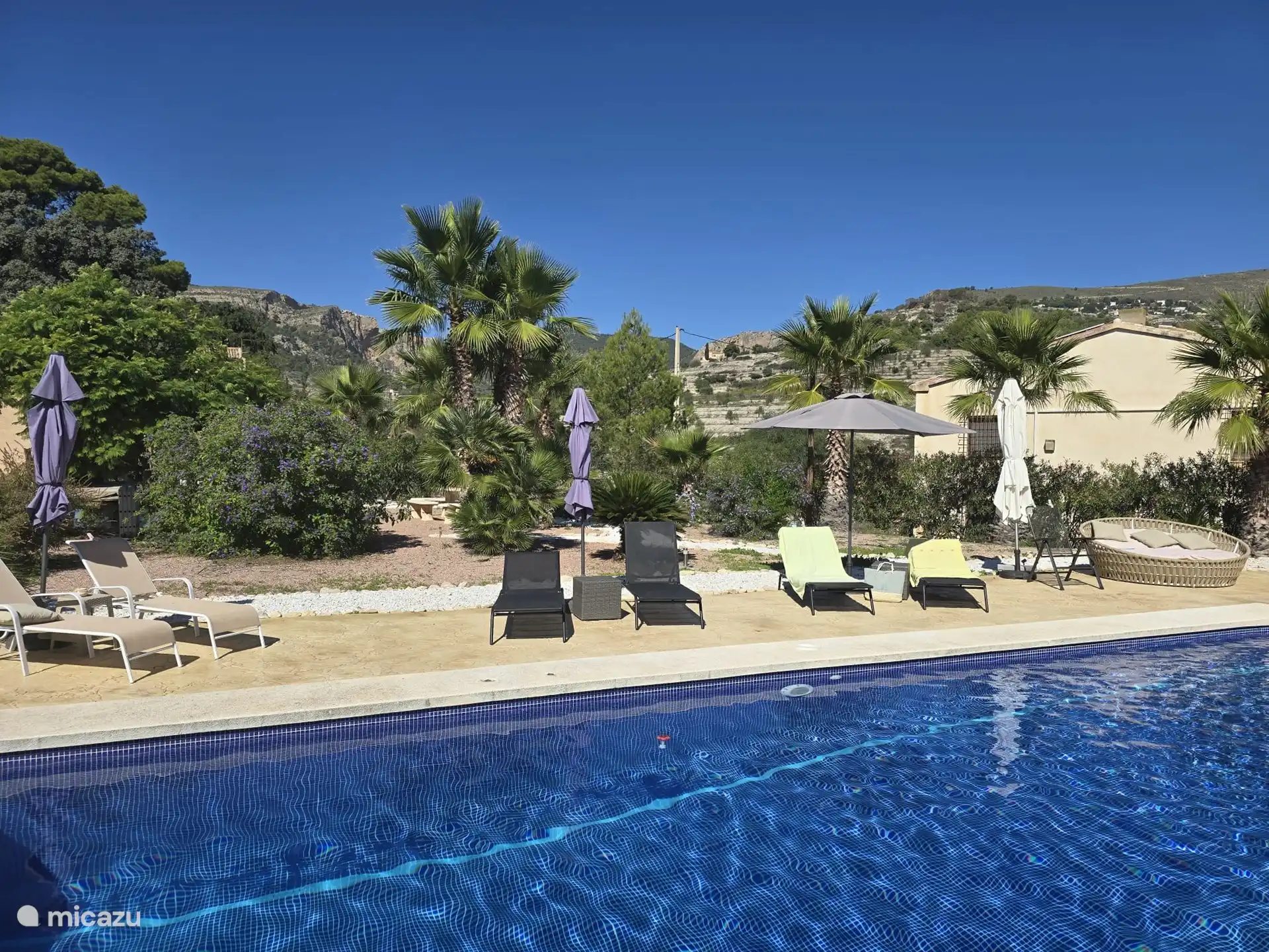 Salzwasserpool mit Sonnenliegen 