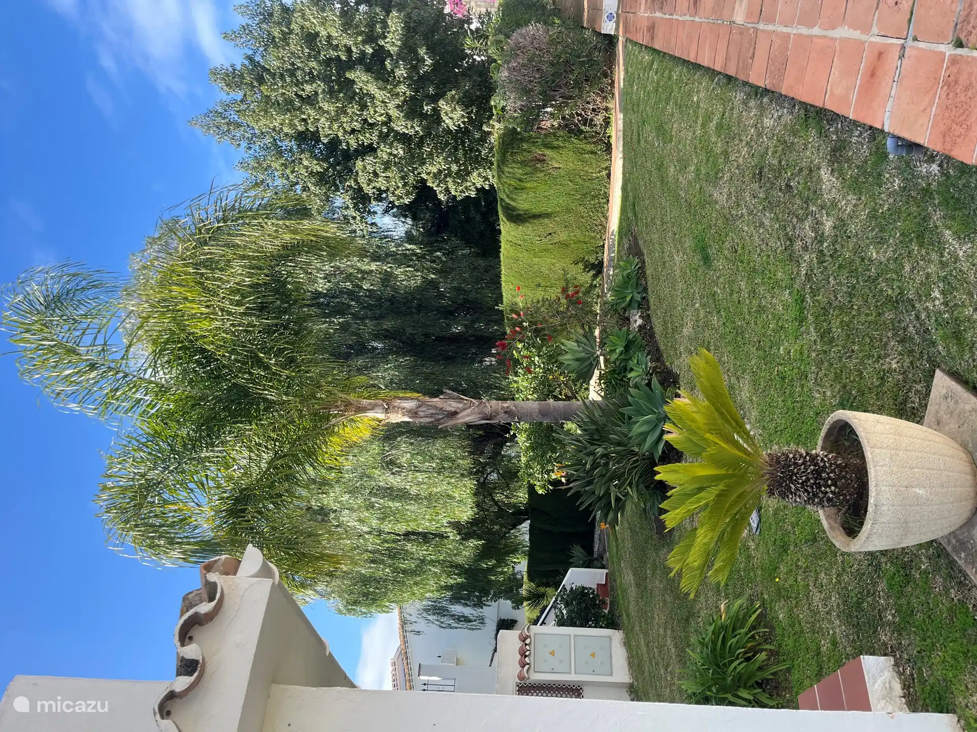 Schöner Garten mit Obstbäumen.