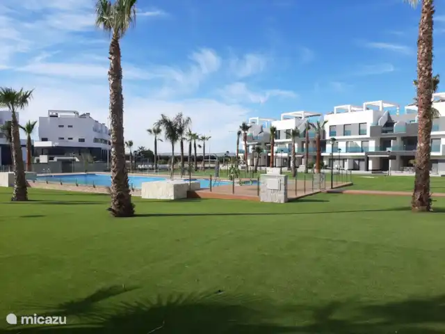 Location de Vacances Espagne, Costa Blanca, Guardamar del Segura, appartement - Casa Croes - Plage de l’Oasis XIII Pelouse ensoleillée avec palmiers
