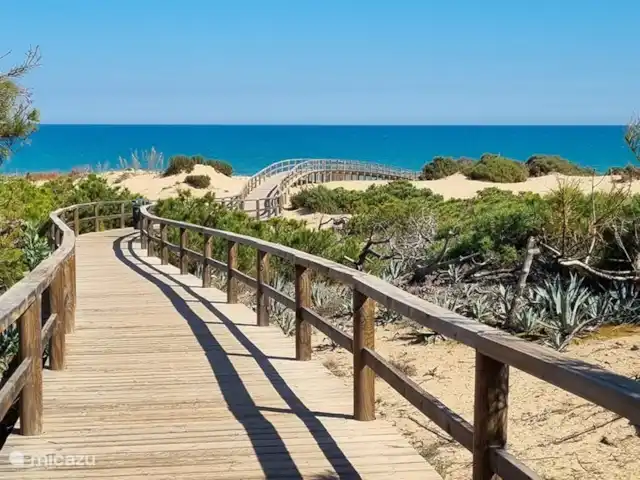 Location de Vacances Espagne, Costa Blanca, Guardamar del Segura, appartement - Casa Croes - Plage de l’Oasis XIII De beaux chemins de murs près des plages