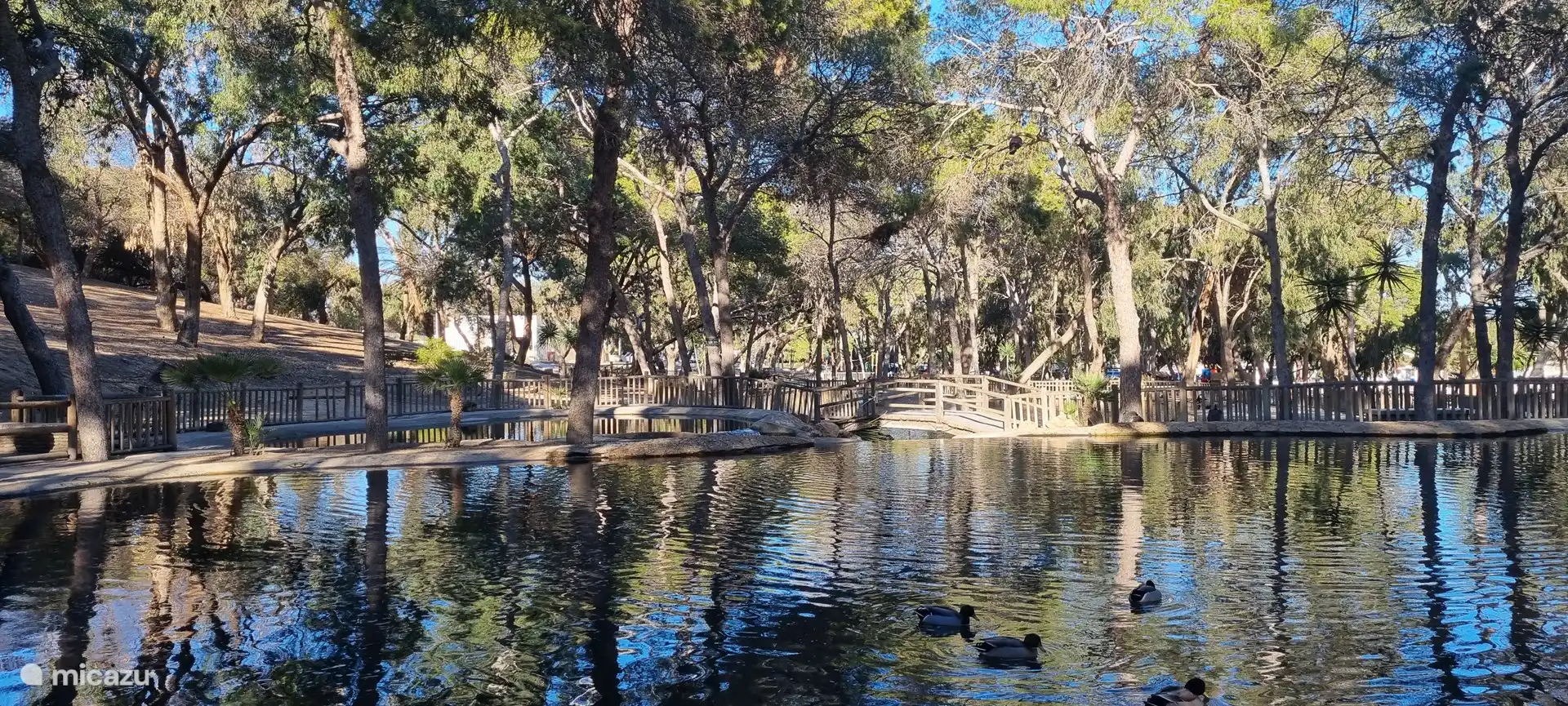 Parque Reina Sofía cercano con hermosa fauna y flora