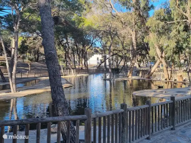 Location de Vacances Espagne, Costa Blanca, Guardamar del Segura, appartement - Casa Croes - Plage de l’Oasis XIII Parc Reina Sofia à proximité avec une faune et une flore magnifiques