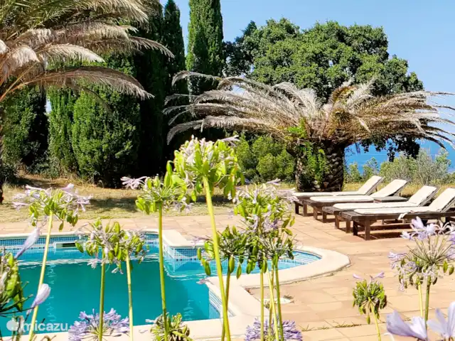 Location de Vacances France, Pyrénées-Orientales, Argelès-sur-Mer, appartement - Appartement Argelès-sur-Mer vue mer