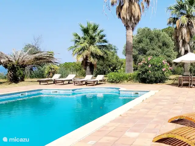 Location de Vacances France, Pyrénées-Orientales, Argelès-sur-Mer, appartement - Appartement Argelès-sur-Mer vue mer