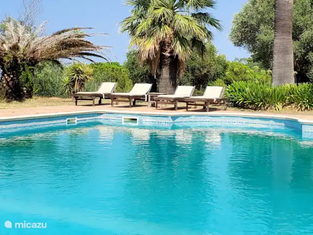 Location de Vacances France, Pyrénées-Orientales, Argelès-sur-Mer, appartement - Appartement Argelès-sur-Mer vue mer