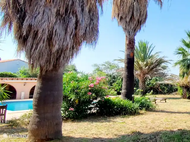 Location de Vacances France, Pyrénées-Orientales, Argelès-sur-Mer, appartement - Appartement Argelès-sur-Mer vue mer